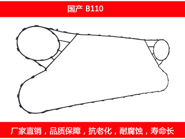 B110 国产可拆式板式妖精网站免费观看密封垫片