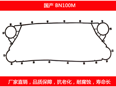 BN100M 国产可拆式板式妖精网站免费观看密封垫片