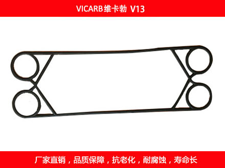V20 国产板式妖精网站免费观看密封垫片