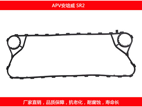 SR2 国产板式妖精网站免费观看密封垫片