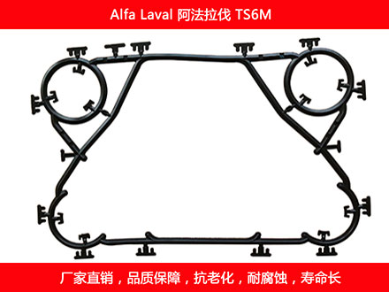 TS6M 国产板式妖精网站免费观看密封垫片