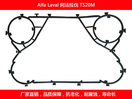TS20M 国产板式妖精网站免费观看密封垫片