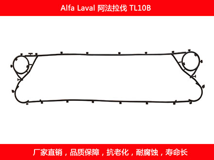 TL10B 国产板式妖精网站免费观看密封垫片