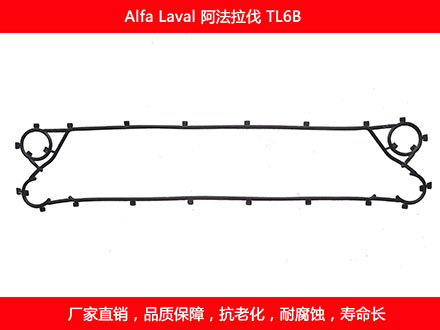 TL6B 国产板式妖精网站免费观看密封垫片