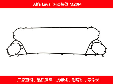 M20M 国产板式妖精网站免费观看密封垫片