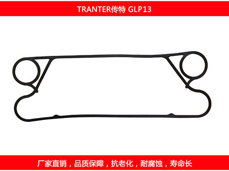GLP13 国产板式妖精网站免费观看密封垫片