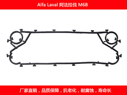 M6B 国产板式妖精网站免费观看密封垫片